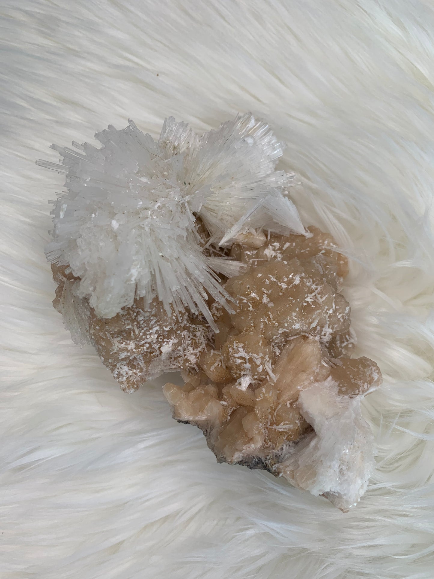 Scolecite Cluster