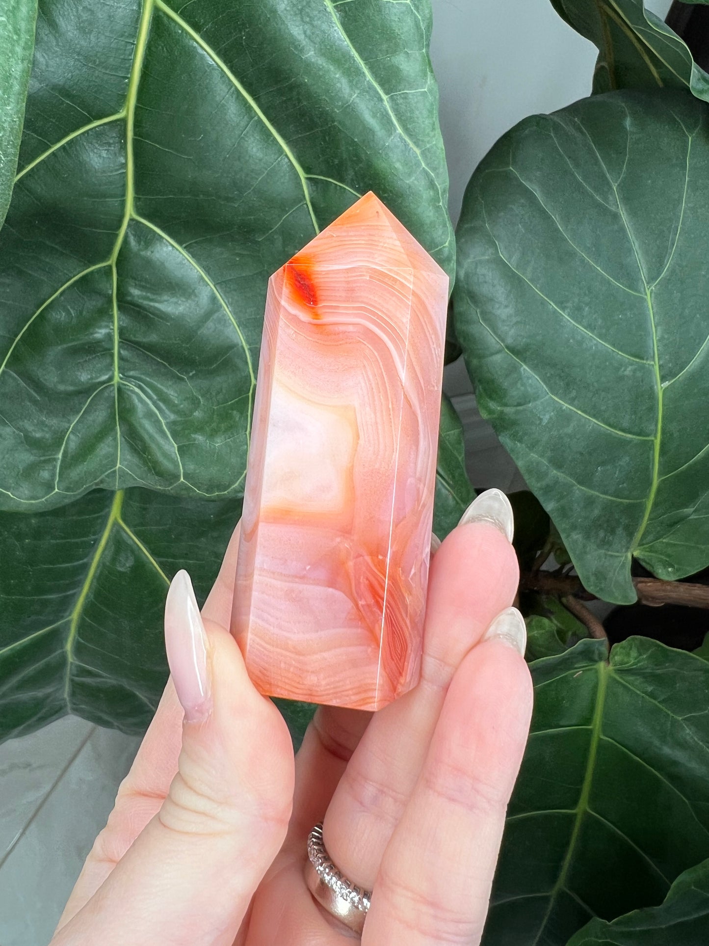 Carnelian Towers