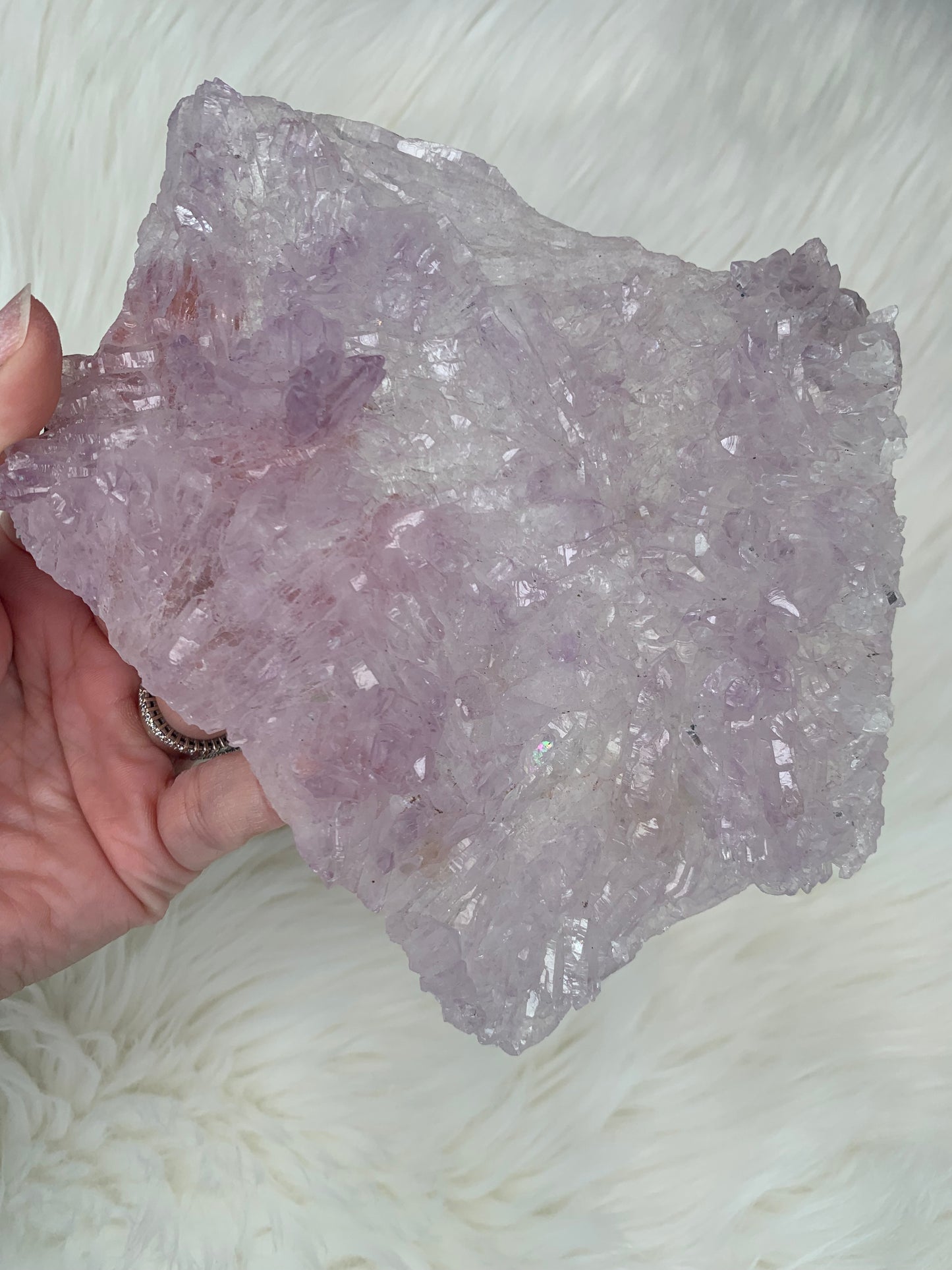 Amethyst Crust Clusters
