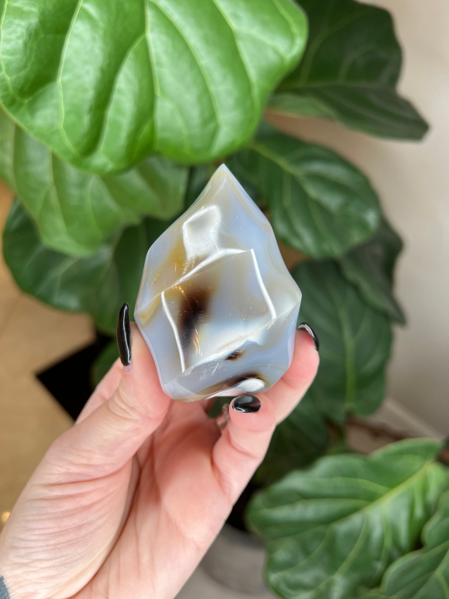 Orca Flame