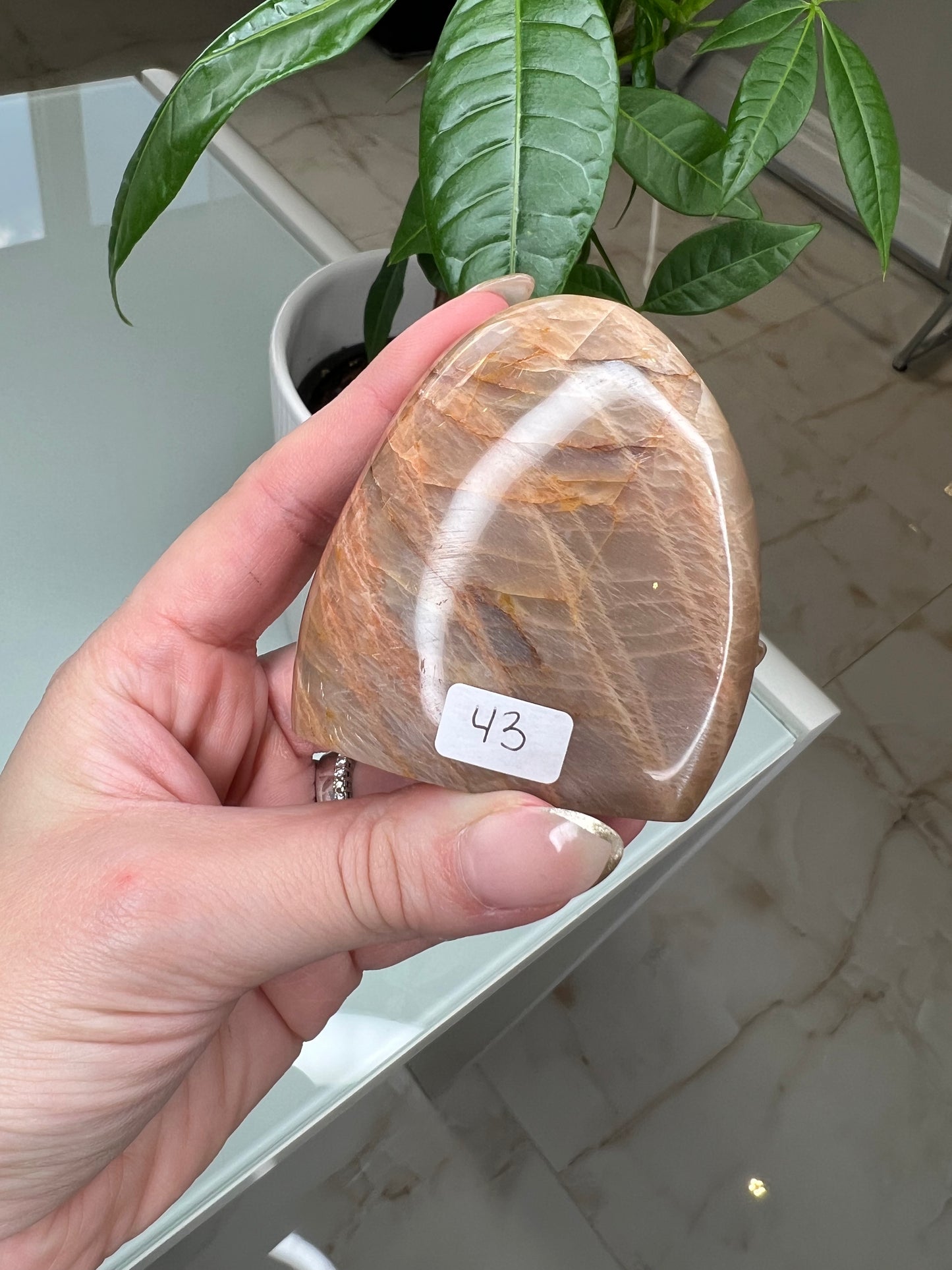 Peach Moonstone Freeform